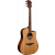 LAG - Guitare Folk - T170 DCE