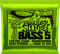 ERNIE BALL - Cordes basse 45/130 - 5 cordes