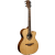 LAG - Guitare Folk - T170 ACE