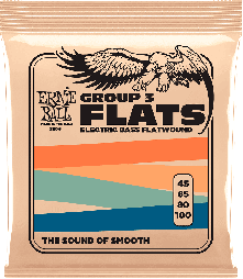 ERNIE BALL - Cordes basse filé plat 45/100 - Le jeu
