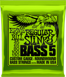 ERNIE BALL - Cordes basse 45/130 - 5 cordes