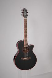 TAKAMINE - GF 49 CECB - électro