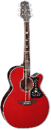 TAKAMINE - GN 75 CEWR - E/A