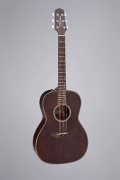 TAKAMINE - GY21E SM - Electro