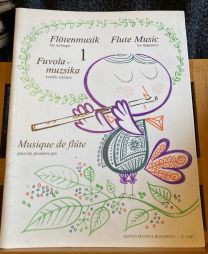 Musique de Flûte pour les premiers pas 1