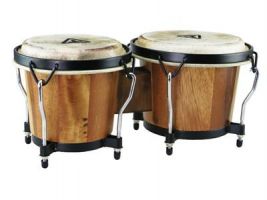 TYCOON - Bongo - CP221 DW