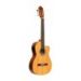 STAGG - Guitare classique électroacoustique