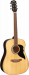 EKO - Pack guitare Folk - Ranger 6 Nat